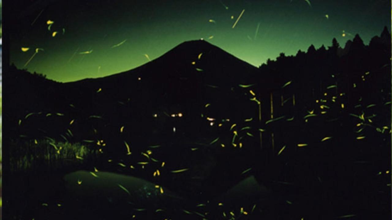 Kyukamura Fuji Fujinomiya